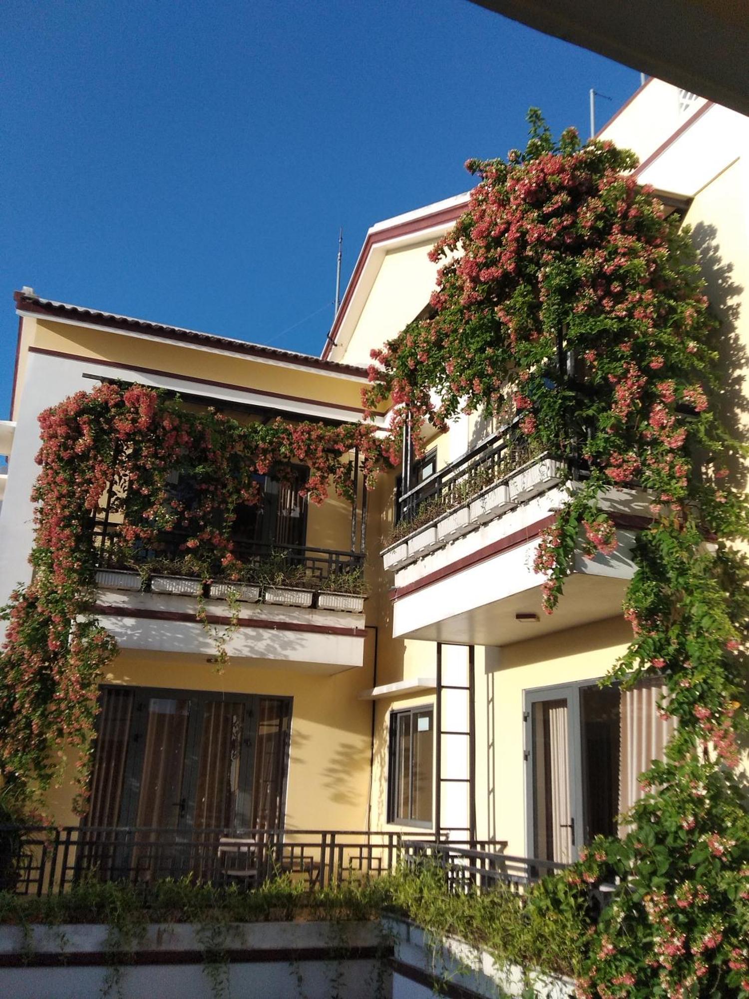 Hoi An Town Of Viet House Homestay Экстерьер фото